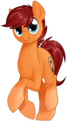 Size: 1024x1777 | Tagged: safe, artist:kellythedrawinguni, oc, oc only, oc:blazing beams, earth pony, pony, male, simple background, smiling, solo, stallion, transparent background
