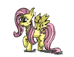 Size: 1300x1000 | Tagged: safe, artist:jodi sli, fluttershy, g4, confused, female, open mouth, raised hoof, shading, simple background, solo, spread wings, surprised, white background, wings