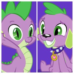 Size: 1024x1024 | Tagged: safe, edit, edited screencap, screencap, spike, dog, dragon, equestria girls, g4, comparison, doggy dragondox, purple background, simple background, spike the dog