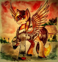 Size: 2025x2160 | Tagged: safe, artist:das_leben, oc, oc only, pegasus, pony, clothes, high res, male, raised hoof, sketch, smiling, solo, stallion, traditional art, unshorn fetlocks, wings