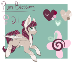 Size: 5486x4683 | Tagged: safe, artist:beashay, oc, oc only, oc:plum blossom, pegasus, pony, absurd resolution, female, mare, reference sheet, solo