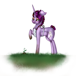 Size: 1024x1024 | Tagged: safe, artist:symphstudio, oc, oc only, pony, unicorn, apron, clothes, female, floppy ears, looking down, mare, plant, raised hoof, solo