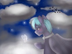 Size: 1024x768 | Tagged: safe, artist:yomi brasi, oc, oc only, butterfly, cloud, sky, solo