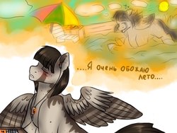 Size: 1280x960 | Tagged: safe, artist:yomi brasi, oc, oc only, pegasus, pony, russian, solo, translated in the description