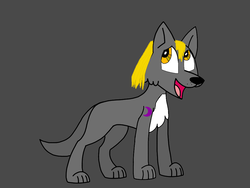 Size: 1024x768 | Tagged: safe, artist:warpx97, oc, oc only, oc:midknight huargo, dire wolf, wolf, alternative cutie mark placement, barely pony related, base used, chest fluff, faic, male, non-pony oc, shoulder cutie mark, solo, wolf oc