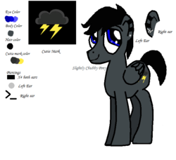 Size: 643x587 | Tagged: artist needed, safe, oc, oc only, oc:lightning chaser, pegasus, pony, reference sheet, simple background, solo, white background