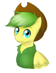 Size: 1752x2286 | Tagged: safe, artist:askbubblelee, oc, oc only, oc:james thunder, pegasus, pony, clothes, cowboy hat, cute, gift art, green hair, hat, looking at you, male, shirt, simple background, smiling, solo, stallion, stetson, transparent background