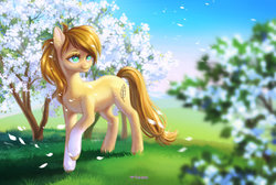 Size: 1024x689 | Tagged: safe, artist:purpletigra, oc, oc only, earth pony, pony, apple tree, bloom, looking at something, looking away, petals, raised hoof, solo, turned head, unshorn fetlocks