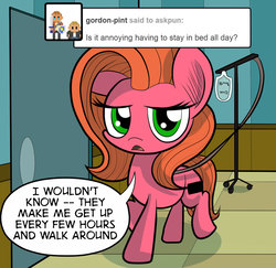 Size: 823x800 | Tagged: safe, artist:wadusher0, oc, oc only, oc:pun, earth pony, pony, comic:hospital hijinks, comic, female, iv drip, mare, solo