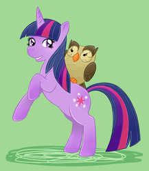 Size: 695x800 | Tagged: safe, artist:guiltyp, owlowiscious, twilight sparkle, pony, unicorn, g4, female, mare, simple background