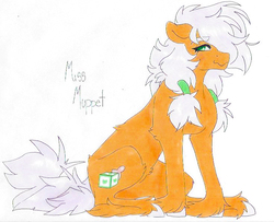 Size: 735x597 | Tagged: safe, artist:frozensoulpony, oc, oc only, oc:miss muppet, earth pony, pony, female, mare, offspring, parent:big macintosh, parent:fluttershy, parents:fluttermac, sitting, solo, traditional art