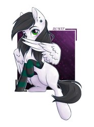 Size: 1024x1377 | Tagged: safe, artist:hollybright, oc, oc only, pegasus, pony, clothes, ear piercing, female, mare, piercing, socks, solo