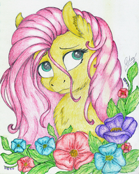 Size: 1561x1961 | Tagged: safe, artist:check3256, fluttershy, g4, bust, chest fluff, cute, female, flower, looking sideways, looking up, portrait, shyabetes, solo, stray strand, traditional art