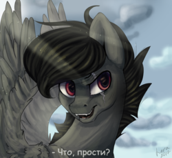 Size: 1495x1367 | Tagged: safe, artist:ognevitsa, oc, oc only, pegasus, pony, male, russian, scar, solo, stallion, translated in the comments