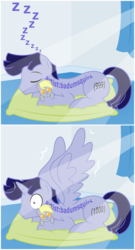 Size: 2932x5442 | Tagged: safe, artist:badumsquish, derpibooru exclusive, derpy hooves, oc, oc only, oc:artist:badumsquish, alicorn, earth pony, pony, derpibooru, g4, alicornified, ascension, crepuscular rays, curtains, derpibooru ponified, feathered wings, high res, male, meta, pillow, plushie, ponified, race swap, sleeping, solo, species swap, spread wings, stallion, tag pony, tags, transformation, waking up, wide eyes, wingboner, wings, zzz