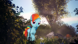 Size: 3840x2160 | Tagged: safe, artist:melodycloud14, rainbow dash, g4, 3d, calm, female, grass, high res, poster, rock, scenery, solo, source filmmaker, tree