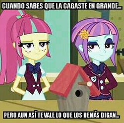 Size: 320x317 | Tagged: safe, sour sweet, sunny flare, acadeca, equestria girls, g4, bird house, bowtie, clothes, crystal prep academy uniform, freckles, hands behind back, meme, school uniform, spanish, translated in the comments, translated in the description