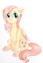 Size: 2000x2900 | Tagged: safe, artist:rizzych, fluttershy, pony, g4, colored hooves, colored wings, ear fluff, female, floppy ears, high res, looking at you, simple background, sitting, solo, underhoof, unshorn fetlocks, white background