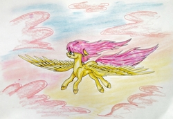 Size: 2773x1913 | Tagged: safe, artist:rysunkowasucharia, fluttershy, pegasus, pony, g4, female, flying, looking away, looking up, mare, sky, solo, spread wings, traditional art, unshorn fetlocks, windswept mane, wings