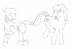 Size: 1577x1085 | Tagged: safe, artist:parallel black, oc, oc only, oc:robrrrt, object pony, original species, pony, robot, robot pony, vacuum cleaner pony, accident, angry, duo, monochrome, ponified, sketch, sucking, vacuum cleaner