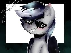 Size: 960x720 | Tagged: safe, artist:janevolmelody, oc, oc only, oc:stormdancer, pegasus, pony, cheek fluff, ear fluff, fierezzaneverdies, fluffy, grin, lidded eyes, looking at you, male, smiling, smirk, solo, stallion, sunglasses, thug life, wing fluff