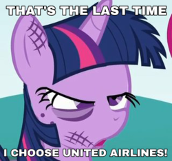 Size: 320x300 | Tagged: safe, edit, edited screencap, screencap, twilight sparkle, pony, unicorn, g4, caption, female, image macro, mare, meme, united airlines