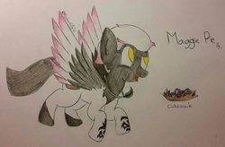 Size: 1023x671 | Tagged: safe, artist:fantaslily32, oc, oc only, oc:maggie pie, pegasus, pony, colored wings, feather, female, jewelry, mare, multicolored wings, necklace, solo, tattoo, traditional art