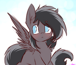 Size: 2530x2162 | Tagged: safe, artist:ashee, oc, oc only, oc:shadow, pegasus, pony, blue eyes, blushing, cute, high res, male, simple background, sketch, solo, wings