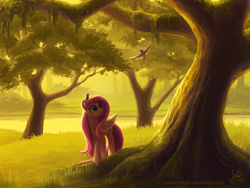 Size: 1920x1440 | Tagged: safe, artist:joellethenose, fluttershy, bird, pegasus, pony, g4, crepuscular rays, female, folded wings, forest, grass, lake, looking up, mare, scenery, solo, tree, under the tree, water