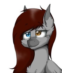 Size: 1024x1202 | Tagged: safe, artist:melpone, oc, oc only, oc:clarissa, pegasus, pony, female, heterochromia, mare, simple background, solo, white background