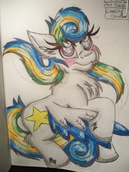 Size: 2736x3648 | Tagged: safe, artist:shelby100, oc, oc only, oc:chasing clouds, blushing, chest fluff, ear fluff, high res, solo, traditional art