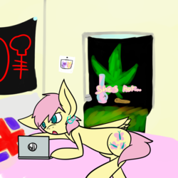 Size: 1000x1000 | Tagged: safe, artist:lesbian-fluttershy, fluttershy, pegasus, pony, g4, alternate hairstyle, ask, bed, bong, colored pupils, computer, drugs, ear piercing, earring, female, implied drug use, implied lesbian, jewelry, laptop computer, lying down, mare, marijuana, on bed, piercing, solo, tongue piercing