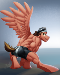 Size: 1002x1252 | Tagged: safe, artist:ponyanony, oc, oc only, oc:swiftdust, pegasus, anthro, unguligrade anthro, clothes, flexing, hat, male, muscles, muscular male, partial nudity, solo, stallion, swimming cap, topless, wings