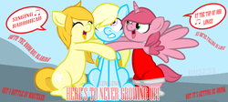 Size: 1259x562 | Tagged: safe, artist:rosesx, artist:summersunshine-mlp, oc, oc only, oc:amy alicorn, oc:golden skies, oc:summer sunshine, alicorn, earth pony, pegasus, pony, alicorn oc, avril lavigne, here's to never growing up, horn, song reference, trio, wings