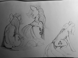 Size: 1280x960 | Tagged: safe, artist:greyscaleart, applejack, earth pony, pony, g4, eyes closed, female, monochrome, pencil drawing, rear view, sitting, sketch, solo, traditional art