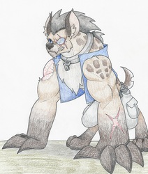 Size: 4817x5673 | Tagged: safe, artist:flicker-show, oc, oc only, oc:chestnut, diamond dog, gnoll, hyena, absurd resolution, clothes, commission, fangs, intimidating, male, scar, shorts, simple background, solo, traditional art