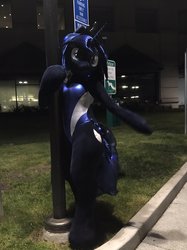 Size: 1108x1478 | Tagged: safe, artist:kolshica, princess luna, g4, babscon, babscon 2017, clothes, fursuit, irl, one-piece swimsuit, photo, solo, swimsuit