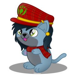 Size: 1400x1400 | Tagged: safe, artist:peternators, oc, oc only, oc:mad munchkin, cat, clothes, hat, kitten, scarf, scottish, solo, species swap