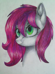 Size: 1024x1365 | Tagged: safe, artist:liza-jack, oc, oc only, pony, bust, female, mare, portrait, solo, traditional art