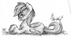 Size: 1736x913 | Tagged: safe, artist:the-wag, rainbow dash, g4, explicit source, female, solo, traditional art
