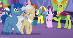 Size: 964x502 | Tagged: safe, screencap, coco crusoe, double diamond, leadwing, lemon hearts, mayor mare, night glider, pristine, starlight glimmer, sugar belle, sunburst, thorax, trixie, changedling, changeling, earth pony, pegasus, pony, unicorn, celestial advice, g4, season 7, animated, clothes, cropped, facial hair, female, gif, glasses, great moments in animation, king thorax, male, mare, stallion, talking, twilight's castle, unshorn fetlocks, walking