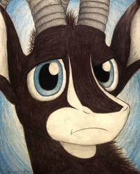 Size: 1072x1328 | Tagged: safe, artist:thefriendlyelephant, oc, oc only, oc:sabe, antelope, giant sable antelope, animal in mlp form, bust, close-up, confused, horns, non-pony oc, portrait, solo, traditional art