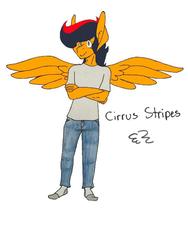 Size: 720x960 | Tagged: safe, artist:romy-the-pegasus, oc, oc only, oc:cirrus stripes, anthro, clothes, flat colors, jeans, pants, simple background, white background, wings