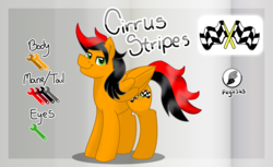 Size: 1074x658 | Tagged: safe, artist:jen-neigh, oc, oc only, oc:cirrus stripes, pegasus, pony, cutie mark, glossy, reference sheet, shading