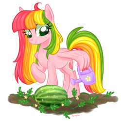 Size: 3936x3948 | Tagged: safe, artist:kaikururu, oc, oc only, oc:fancy fruit, food, gardening, high res, solo, watering can, watermelon, wing hands