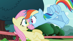 Size: 1920x1090 | Tagged: safe, screencap, fluttershy, rainbow dash, pony, g4, may the best pet win, out of context