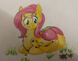 Size: 1254x988 | Tagged: safe, artist:sugaryviolet, fluttershy, drider, monster pony, original species, spider, spiderpony, g4, collaboration, commission, female, looking at something, looking down, multiple eyes, prone, smiling, solo, species swap, spidershy, traditional art