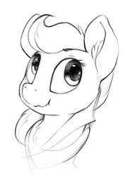 Size: 654x872 | Tagged: safe, artist:dimfann, pony, bust, grayscale, looking away, looking up, monochrome, portrait, sketch, solo, wavy mouth