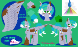 Size: 3000x1800 | Tagged: safe, artist:vanillaswirl6, oc, oc only, oc:cirrus fever, pegasus, pony, cutie mark, fluffy, male, markings, multicolored hair, profile, reference sheet, sharp teeth, signature, solo, spots, stallion, teeth