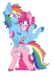 Size: 637x922 | Tagged: safe, artist:wanderingpegasus, pinkie pie, rainbow dash, pony, g4, bipedal, carrying, cute, ear fluff, female, fluffy, holding a pony, lesbian, one eye closed, ship:pinkiedash, shipping, simple background, smiling, surprised, transparent background, unshorn fetlocks, wink